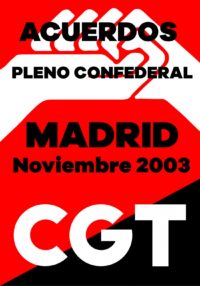 Pleno Confederal de Noviembre de 2003