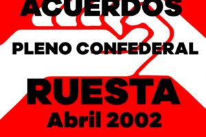 Pleno Confederal de Abril de 2002
