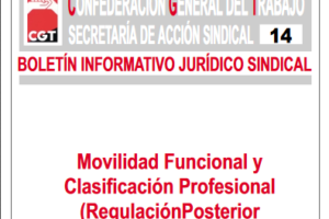 Boletín 14: Movilidad funcional y clasificación profesional