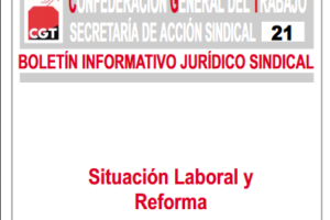 Boletín 21: Situación laboral y Reforma