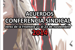 VIII Conferencia Sindical Jerez de la Frontera 2014