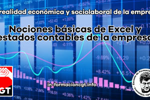 La realidad económica y sociolaboral de la empresa: Nociones básicas de Excel y estados contables de la empresa