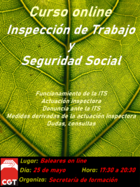 Inspección de Trabajo y Seguridad Social
