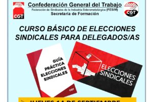 Básico de elecciones sindicales para delegados/as