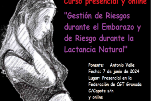 Curso: «Gestión de Riesgos durante el Embarazo y de Riesgo durante la Lactancia Natural»