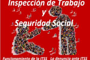 Curso: «Inspección de Trabajo y Seguridad Social»