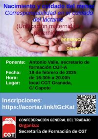 Curso: «Nacimiento y cuidado del menor. Corresponsabilidad en el cuidado del lactante (Unificación maternidad y paternidad)»