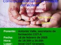 Curso: «Nacimiento y cuidado del menor. Corresponsabilidad en el cuidado del lactante (Unificación maternidad y paternidad)»