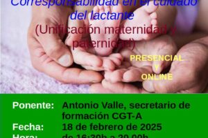 Curso: «Nacimiento y cuidado del menor. Corresponsabilidad en el cuidado del lactante (Unificación maternidad y paternidad)»