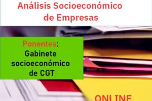 Curso: «Análisis socioeconómico de empresas»