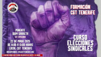 Curso: Elecciones Sindicales